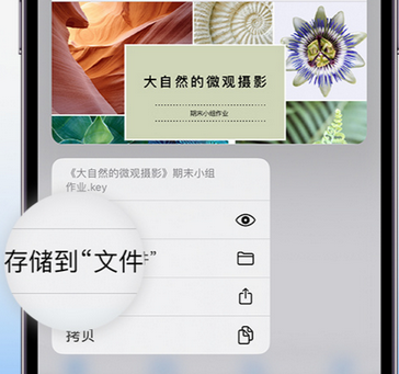 三明apple维修中心分享iPhone文件应用中存储和找到下载文件