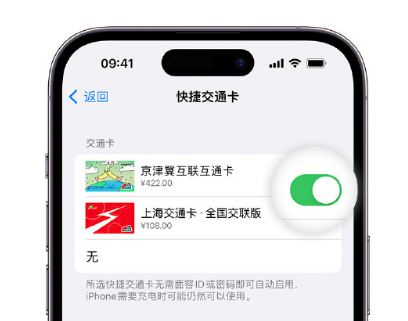 三明apple维修点分享iPhone上更换Apple Pay快捷交通卡手绘卡面 