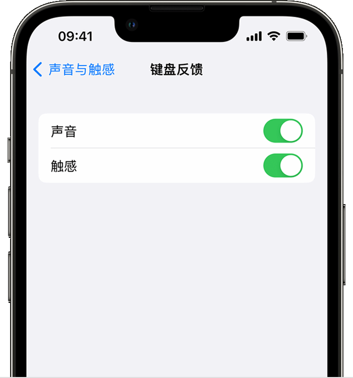 三明苹果14维修店分享如何在 iPhone 14 机型中使用触感键盘 