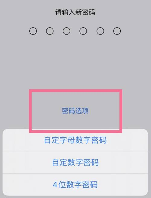 三明苹果14维修分享iPhone 14plus设置密码的方法 