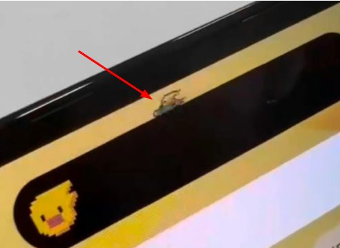 三明苹果14维修分享iPhone 14 Pro Max灵动岛怎么养宠物 