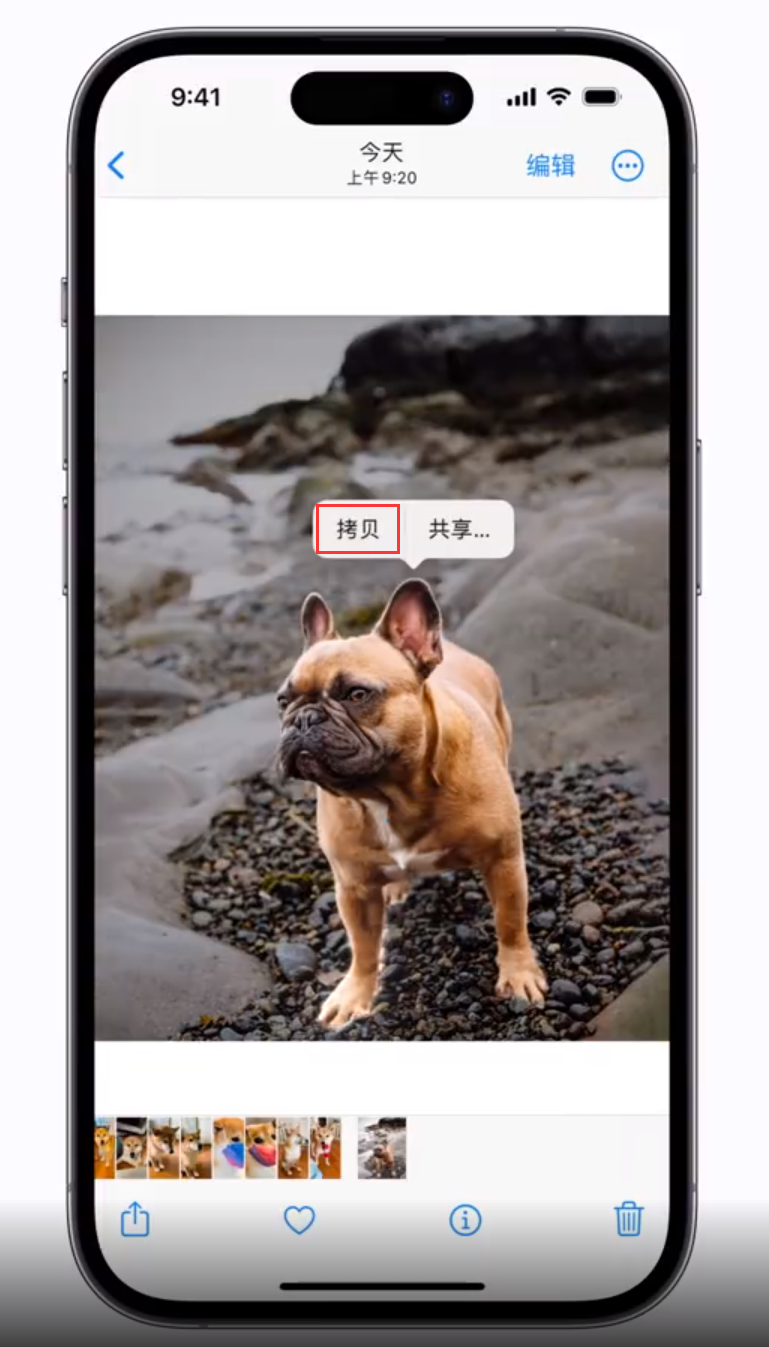 三明苹果手机维修分享 iOS 16 自带一键抠图功能 