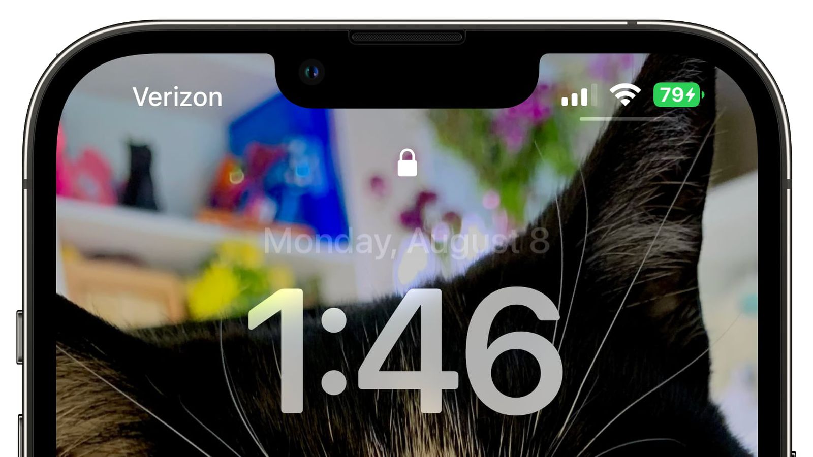 三明苹果手机维修分享iOS 16 beta 5 支持状态栏显示电池百分比，如何开启？支持哪些机型 
