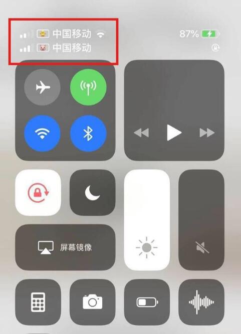 三明苹果手机维修分享为 iPhone 12 双卡设置标签 