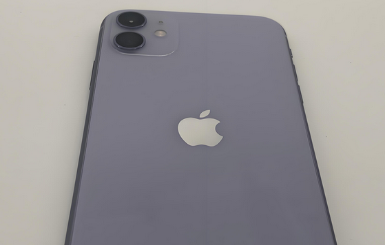 三明苹果11系统维修分享iPhone11手机系统崩溃无法开机如何解决